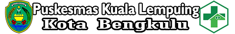 Website Resmi Puskesmas Kuala Lempuing
